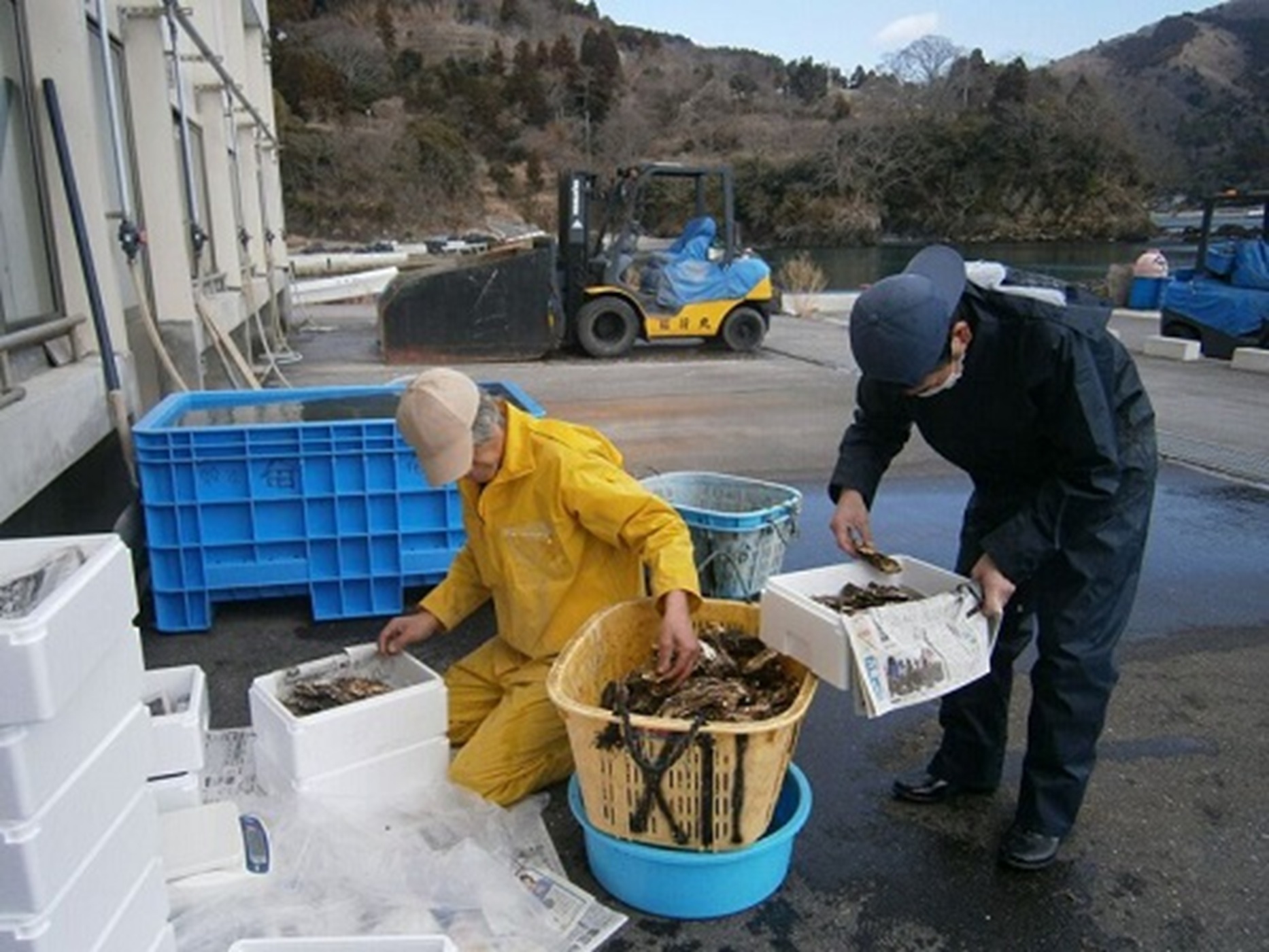 相互多重型の支援